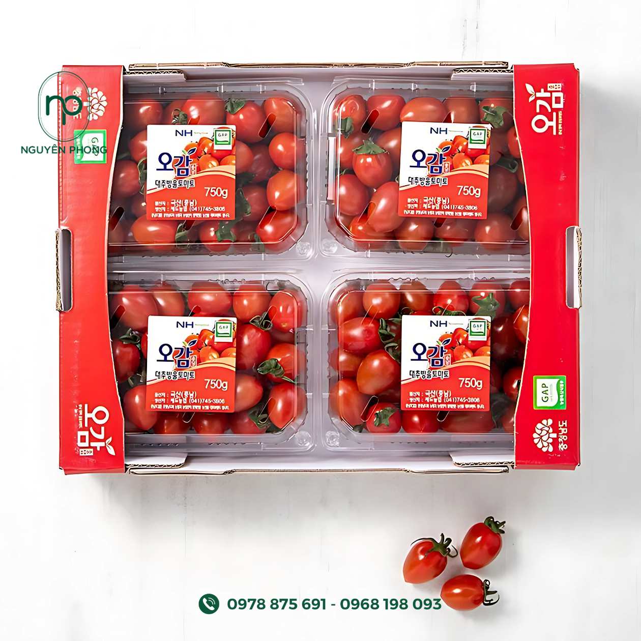 in-thùng-carton-đựng-cà-chua